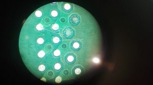 Inspekcja pod mikroskopem - utlenione pady na płycie powodem BLOD'a